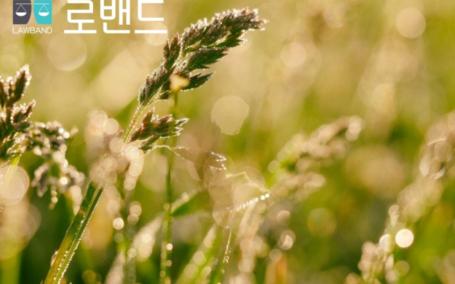 건물명도소송 (인도명령) 법원판례