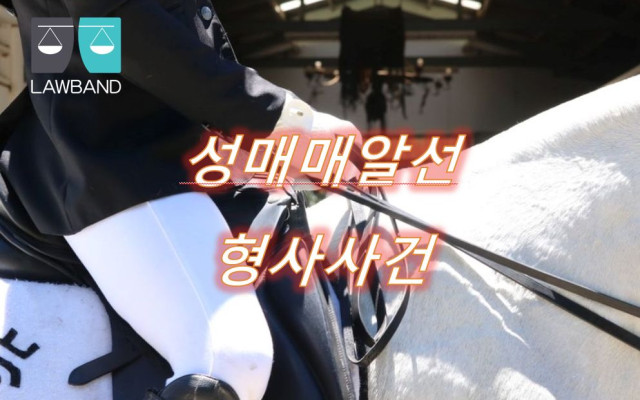 청소년 성매매알선영업행위 형사사건