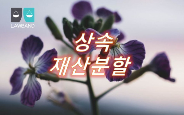 상속 피상속인의 재산에 관한 포괄적 권리의무가 재산권을 침해하는지 여부