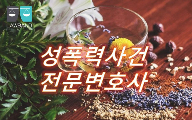 성폭력 범죄에 관한 공개명령 및 고지명령의 요건