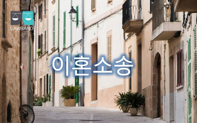 이혼소송 및 재산분할 사건