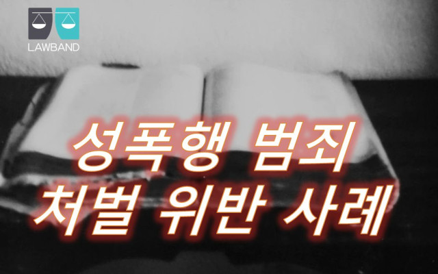 성폭행 범죄의 처벌등에 관한특례법 위반 사례