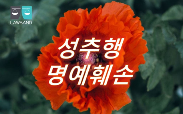 성추행 명예훼손 대항