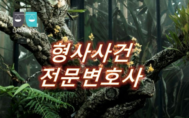 형사사건 재소자에 대한 특칙이 상소이유서에 준용될수있는지의 여부