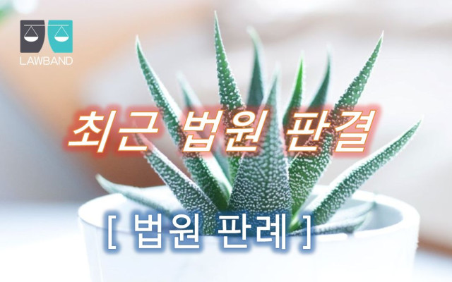 교통사고 신호등의 황색의 등화와 신호 위반이 문제되는 사건