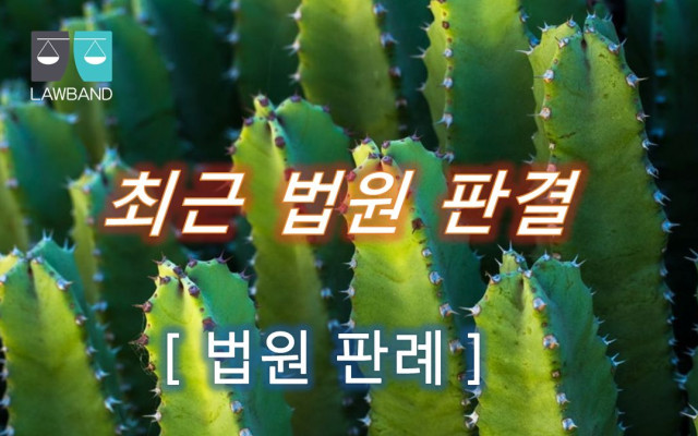 손해배상 - 변호인의 접견교통권 침해에 대한 국가배상 사건