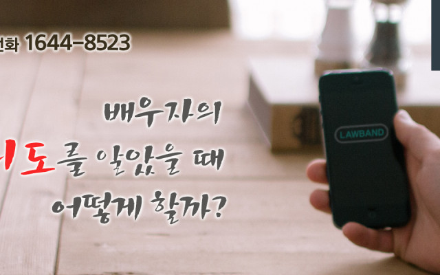 양육비,재산분할에서 가집행선고 판례
