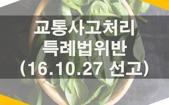 대법원 최신판례-교통사고처리특례법위반(2016.10.27 선고)