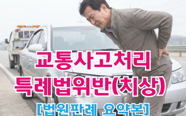 교통사고처리특례법위반(치상)  [ 법원판례 요약본 ]