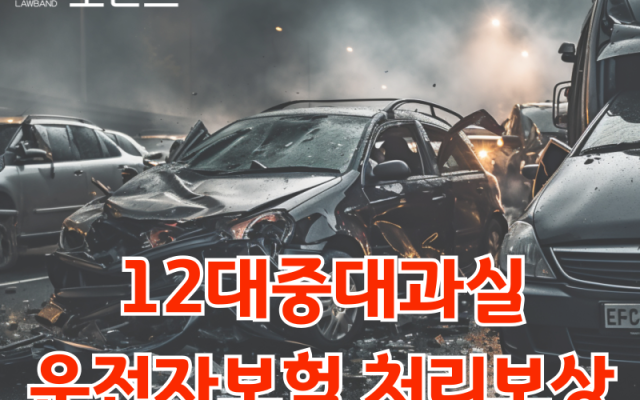 교통사고처리특례법위반,도로교통법위반  법원 판결 사례