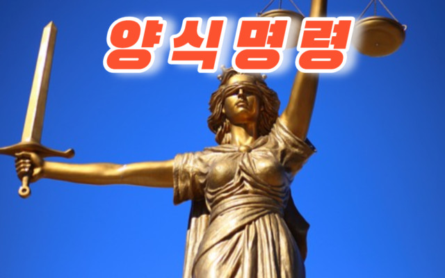 형사사건 양식명령 대응하는 방