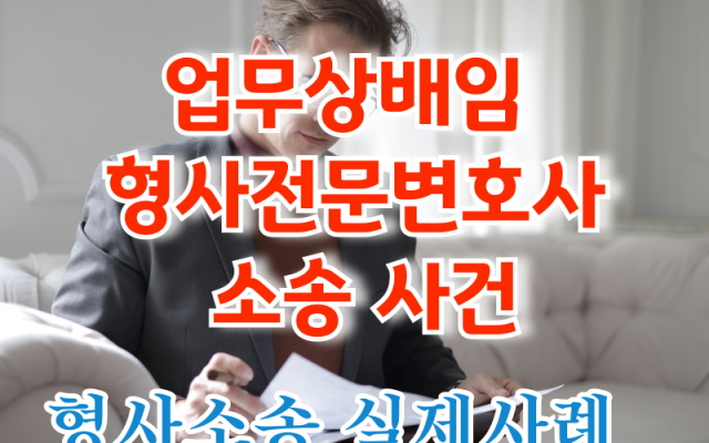 업무상배임 형사전문변호사 소송 사건