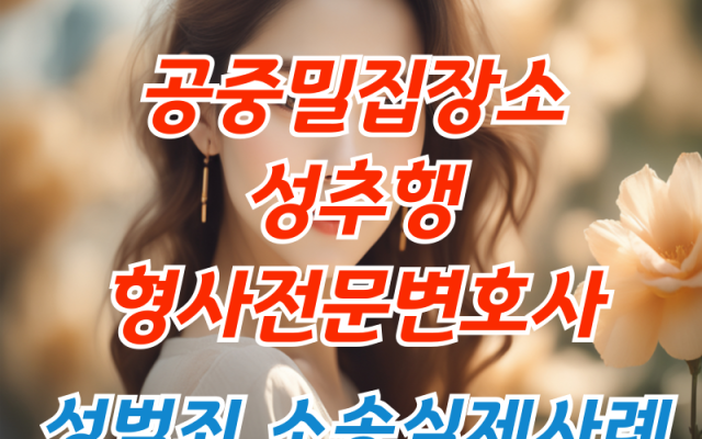 공중밀집장소에서의 성추행 형사전문변호사 형사소송사건 사례