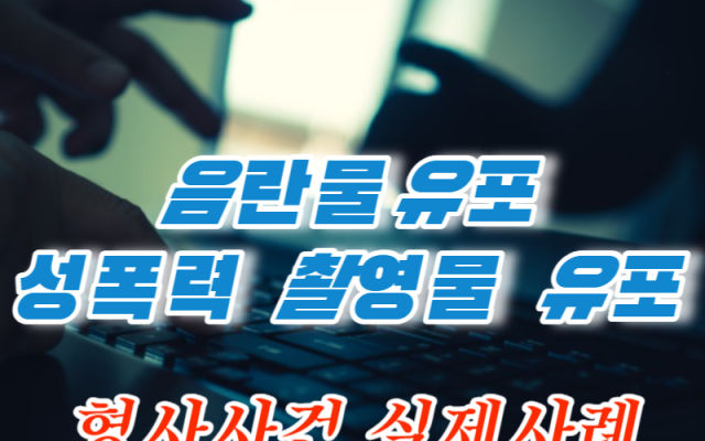 성폭력범죄 처벌등 정보통신망이용촉진및정보보호등에관한법률위반( 음란물유포 …