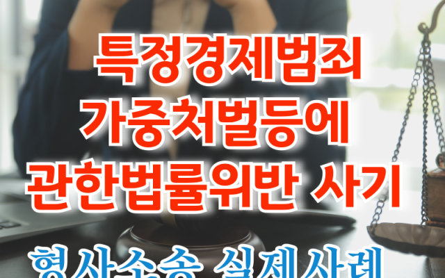특정경제범죄가중처벌등에 관한법률위반 사기 사건