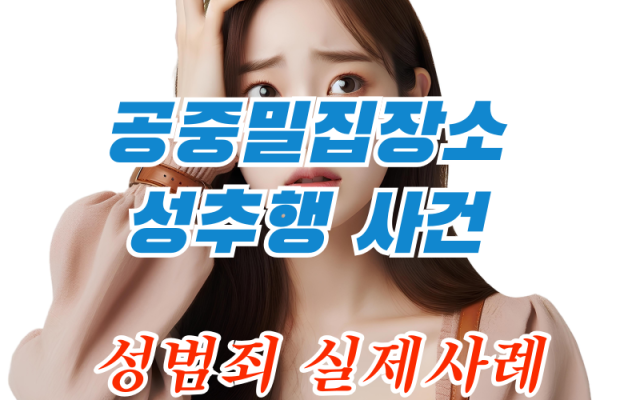 성추행 사건 형사전문변호사 사건 분석