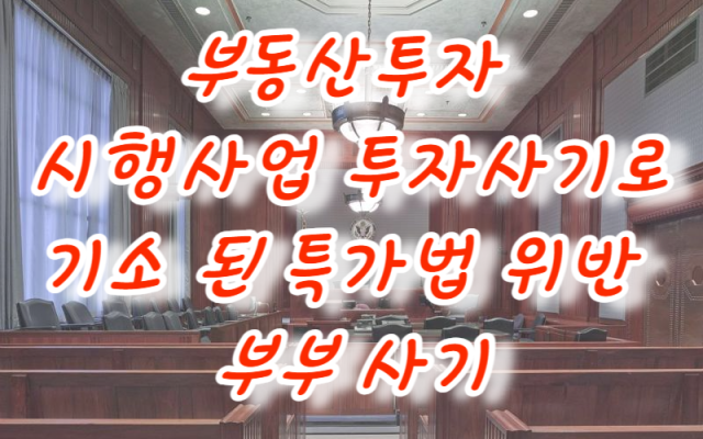 부동산투자 시행사업 투자사기로 기소 된 특가법 위반 부부 사기 사건 사례