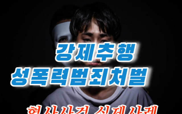 친족관계 강제추행 성폭력범죄처벌 형사사건 사례