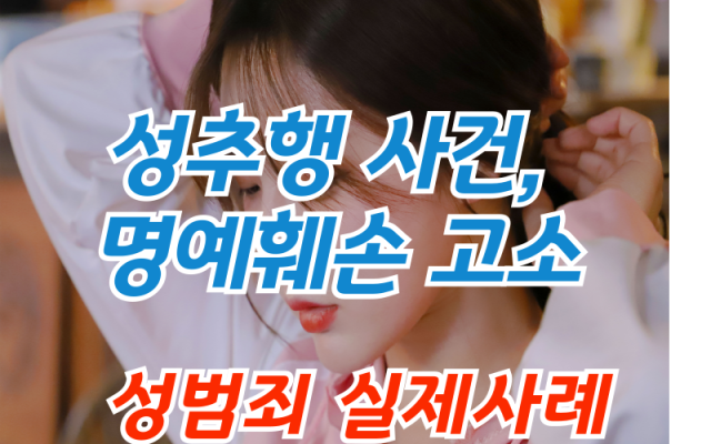 성추행 사건, 명예훼손으로 고소한 형사전문변호사 소송사건