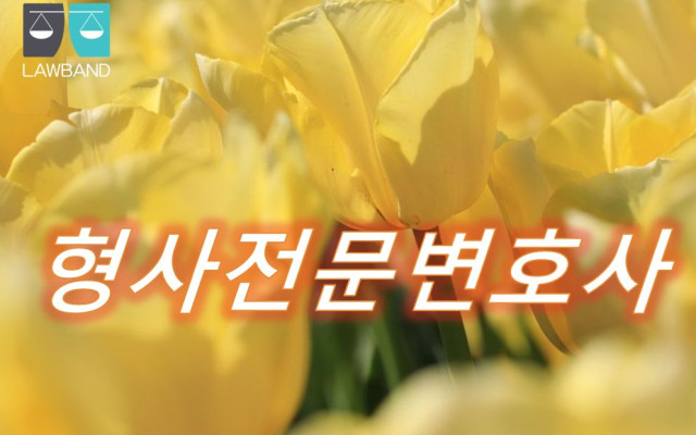 성폭행 피해자 손해배상 청구 - 법무법인 강현 법률정보