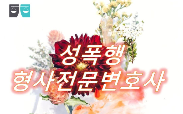 성폭행의 형사처벌 범위