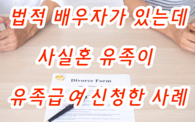 이혼하기. 사실상혼인관계존재확인 사실혼 소송 사례