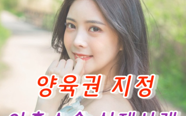 이혼하기. 이혼소송과 양육권 지정을 다투는 실제 소송사례