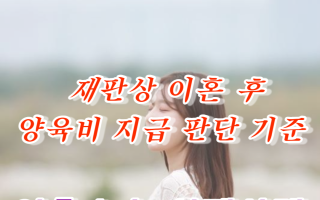 재판상 이혼소송 후 양육비 지급 판결 실제사례