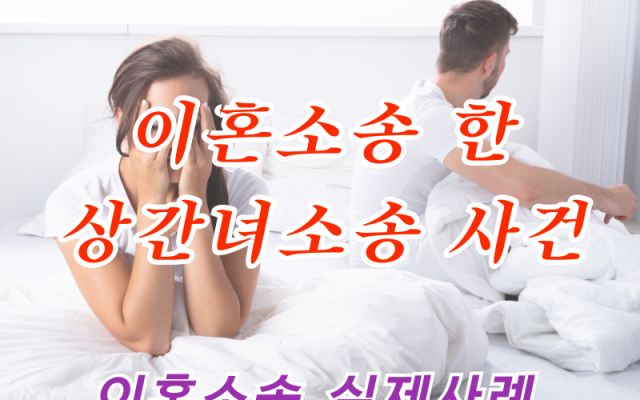 이혼소송 한 상간녀소송 사건