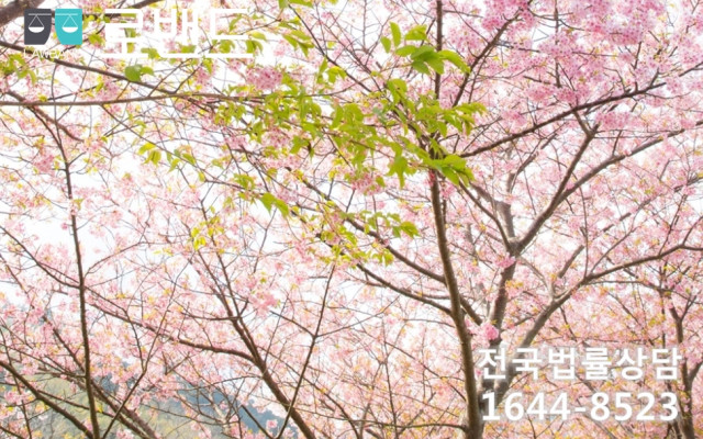 이혼소송 - 상간녀위자료청구권의 개념