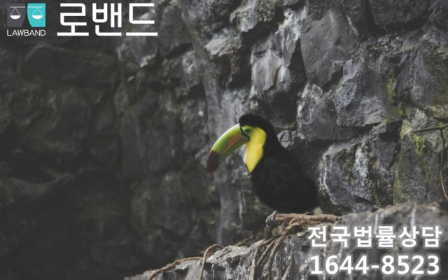 유책배우자의 이혼소송를 허용한 사건 판결문