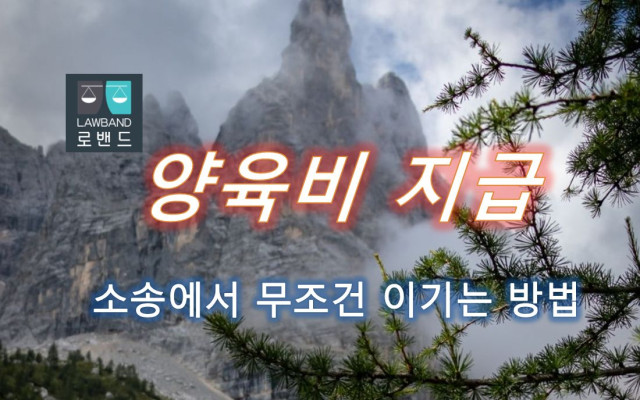 이혼소송에서 양육비 일시금 지급 사례