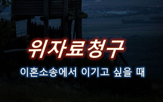 위자료청구 소송