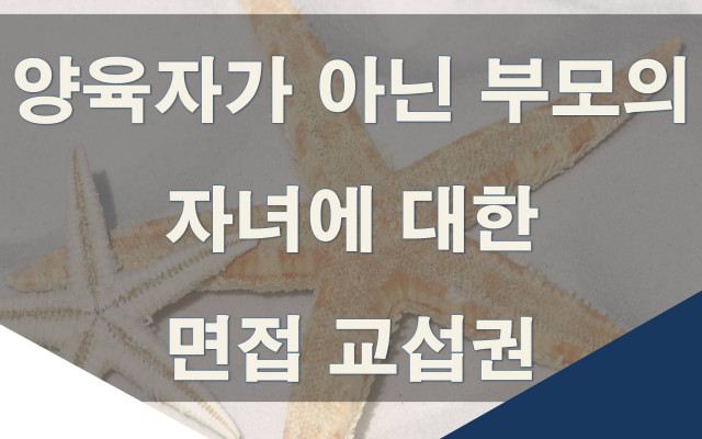 양육자가 아닌 부모의 자녀에 대한 면접교섭권