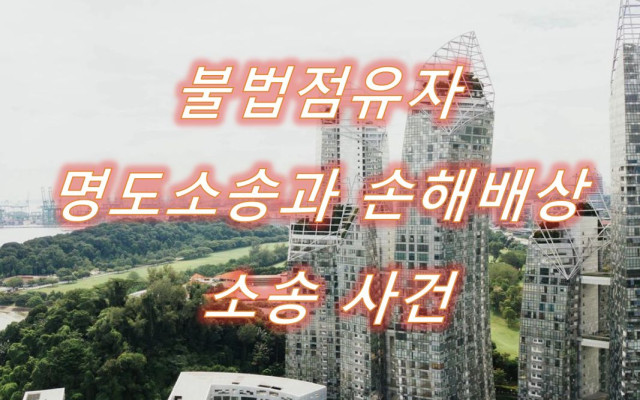 불법점유자 명도소송과 손해배상 청구소송 사례