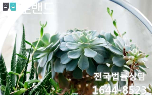 공매배분금지급청구·임치청구