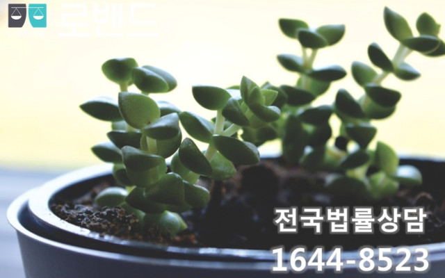 교통사고처리특례법위반