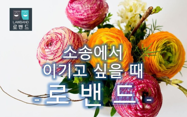 행정소송청구의 기능