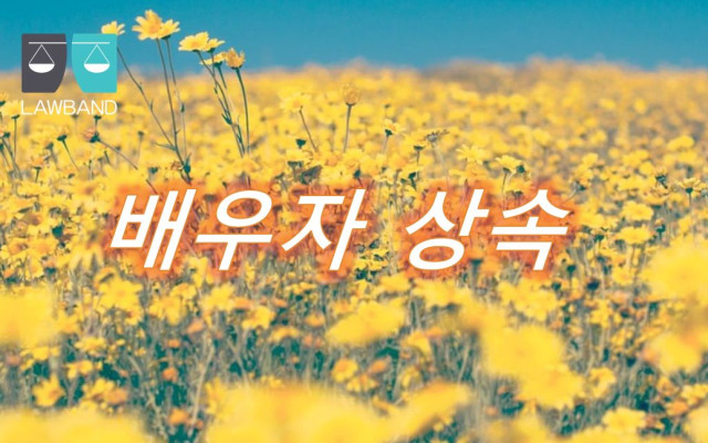 배우자 상속 개념