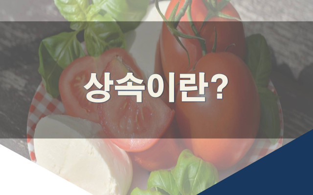 상속이란?