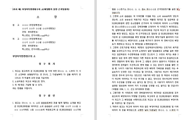 부당이득반환청구의 소  무료법원양식 서식 파일다운로드