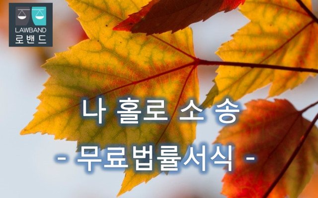 도로교통법위반 변론요지서