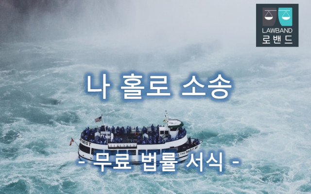 피한정후견인에 대한 금치산자 의료행위의 동의에 대한 허가 청구