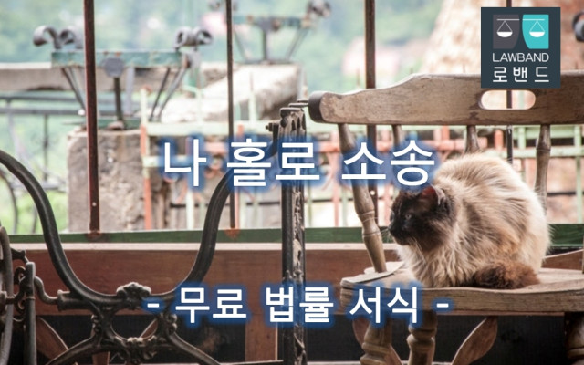 한정후견인의 동의를 갈음하는 허가 청구