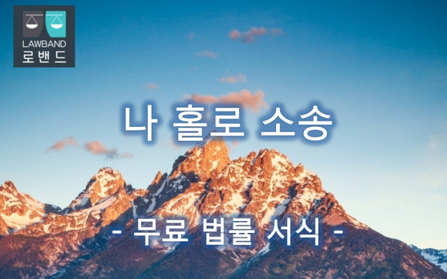피미성년후견인에 대한 의료행위의 동의에 대한 허가 청구