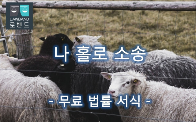 성년후견인이 피성년후견인의 신상에 관하여 결정할 수 있는 권한의 범위 변…