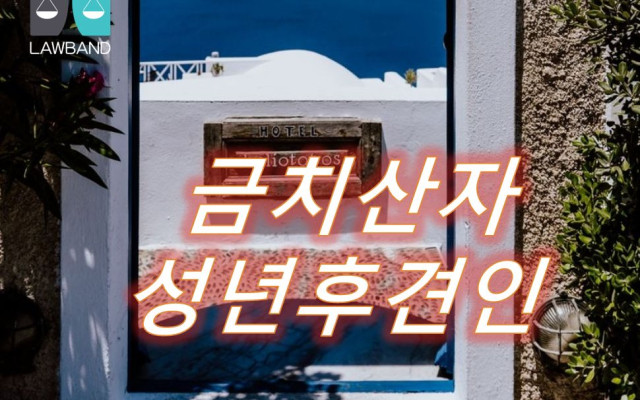 한정치산자  - 피성년후견인의 재산관리 및 법률행위 대리