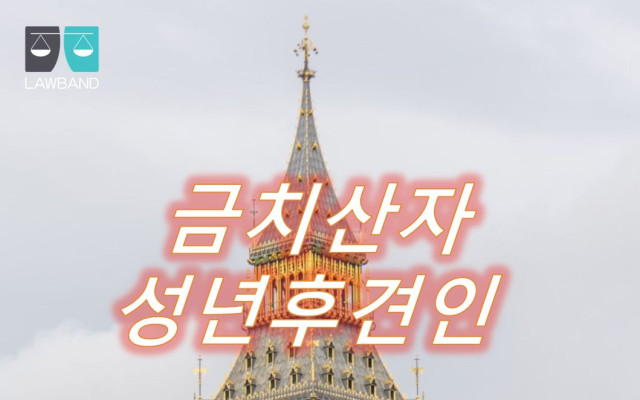 한정후견인 신청에서 성년후견감독인의 수와 자격