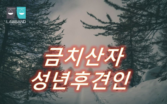 금치산자 중 피성년후견인의 재산에 관한 성년후견인  권한 제한