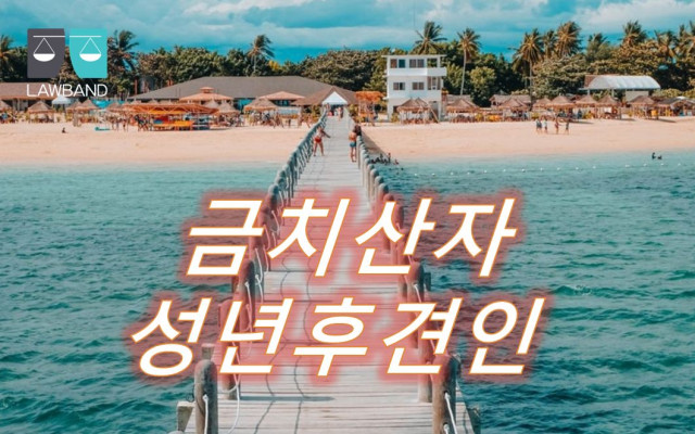 성년후견인  -  미성년후견의 개시